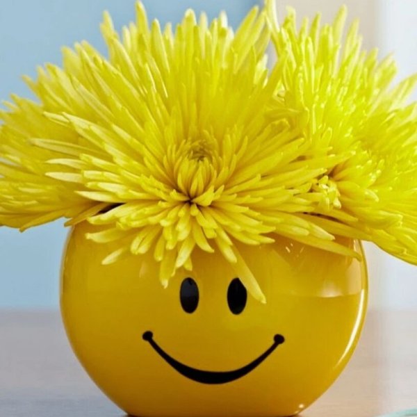 Доброе утро солнышко