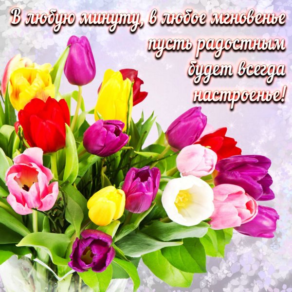 Тюльпаны открытка