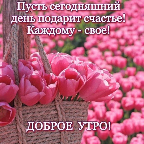 Позитивные пожелания