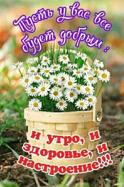 Интересные пожелания с добрым утром