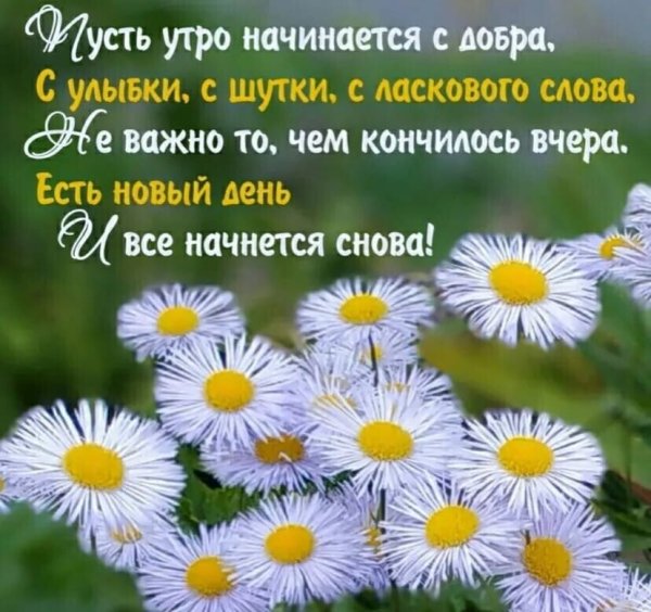 Позитивные пожелания на день