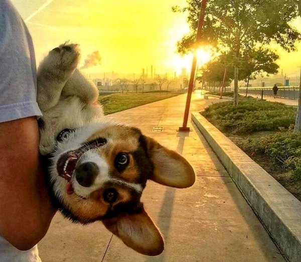 Позитивчик для поднятия настроения