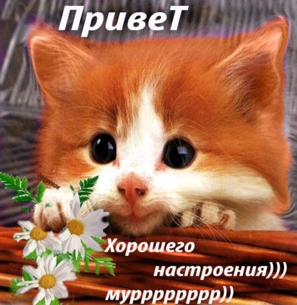 Открытки для поднятия настроения