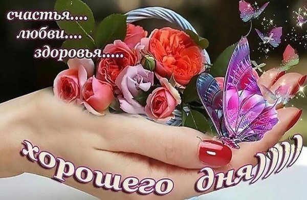 Счастья здоровья любви