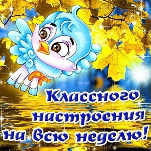 Хорошей недели и отличного настроения