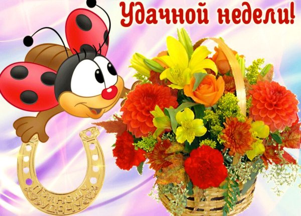 Удачной недели