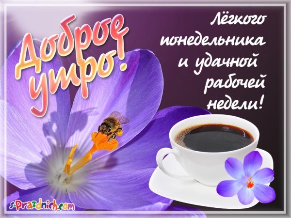 Стдньным утром понедельника