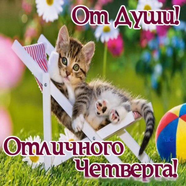 Пожелания хорошего четверга