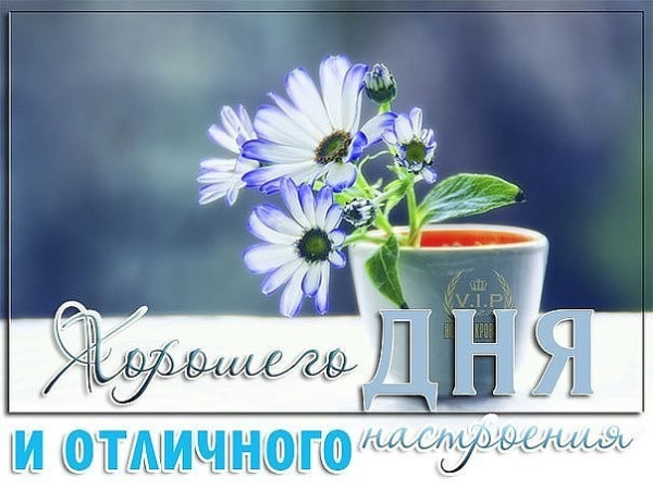 Доброго четверга и удачного дня
