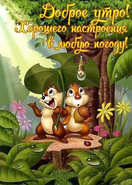 Хорошего настроения в любую погоду