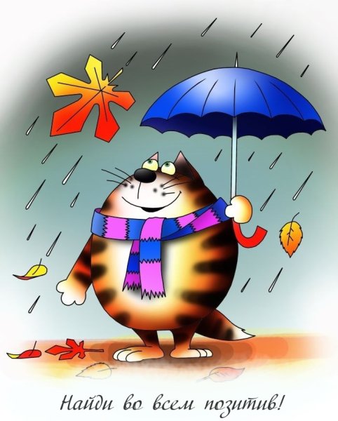 Веселые открытки