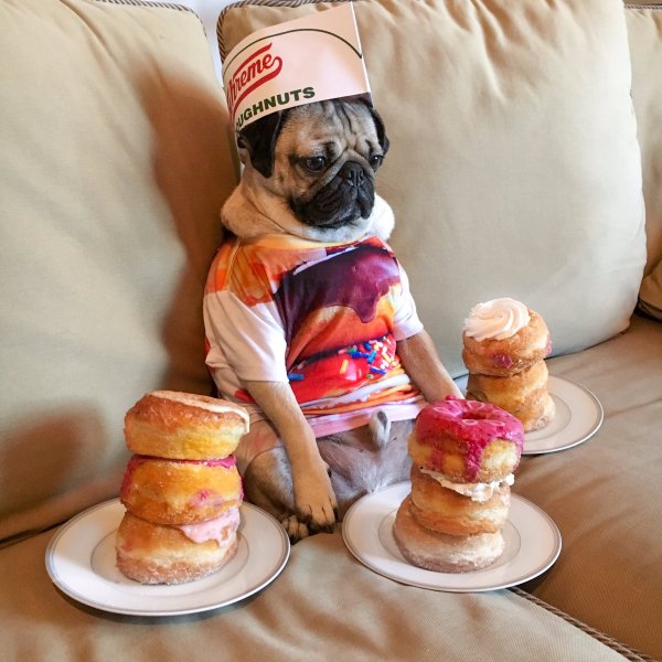 Картинки прикольные для настроения