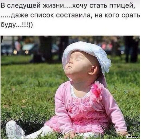 Смешные картинки с надписями для поднятия настроения