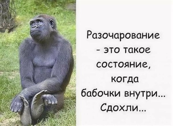 Весёлые надписи для поднятия настроения