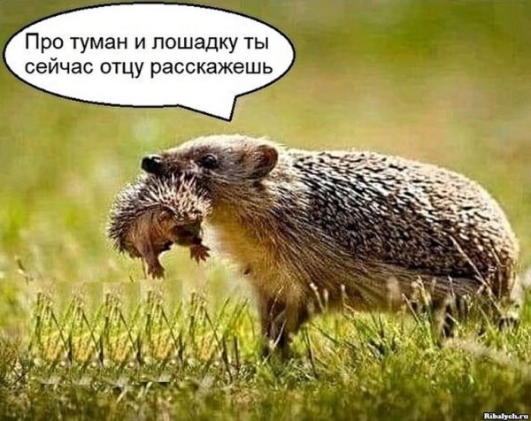 Мама ежиха с ежатами