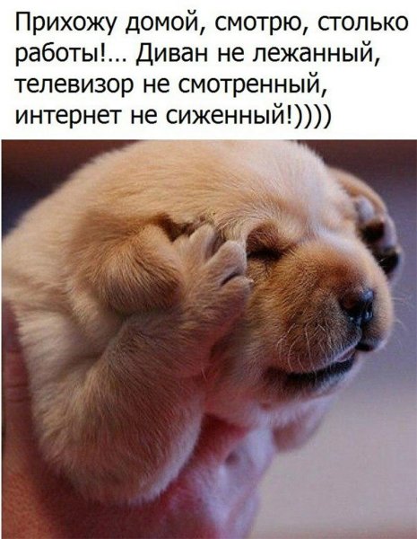 Веселые рисунки для поднятия настроения