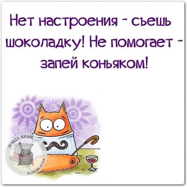 Весёлые открытки для поднятия настроения