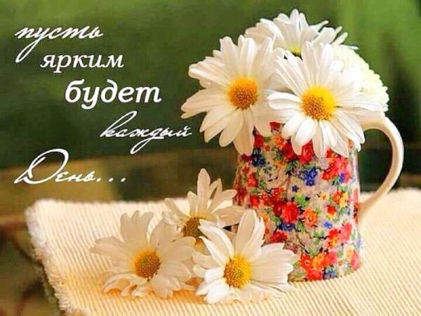 Ромашковое настроение