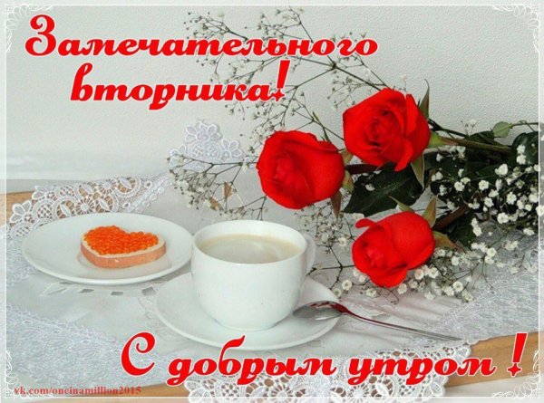 Доброе утро вторника