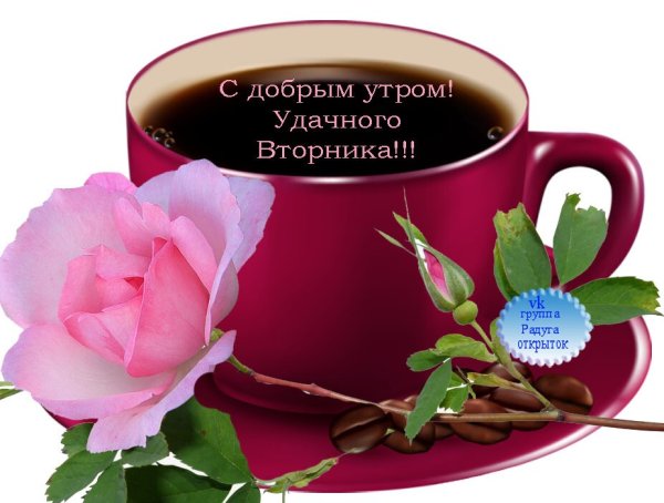 Хорошего вторника отличного настроения