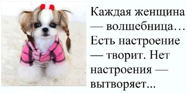 Нет настроения