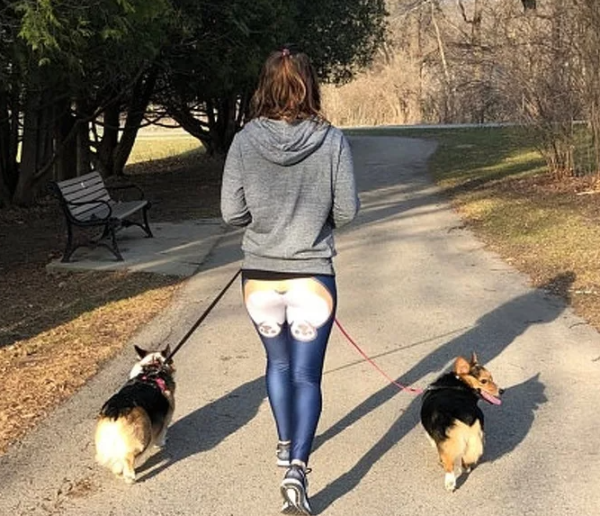 Гулять с собакой смешное