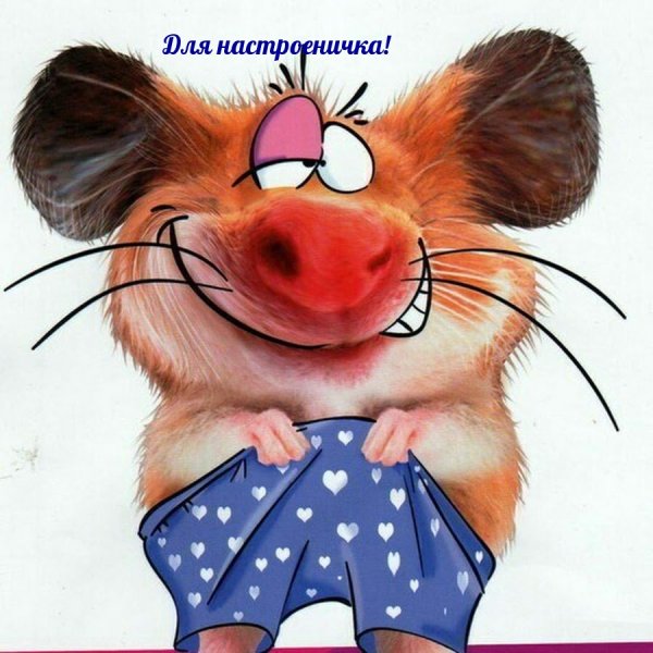 Открытки для поднятия настроения