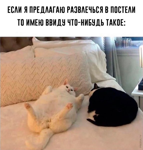 Прикольные картинки для поднятия настроения