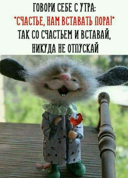 Доброе утро юмор