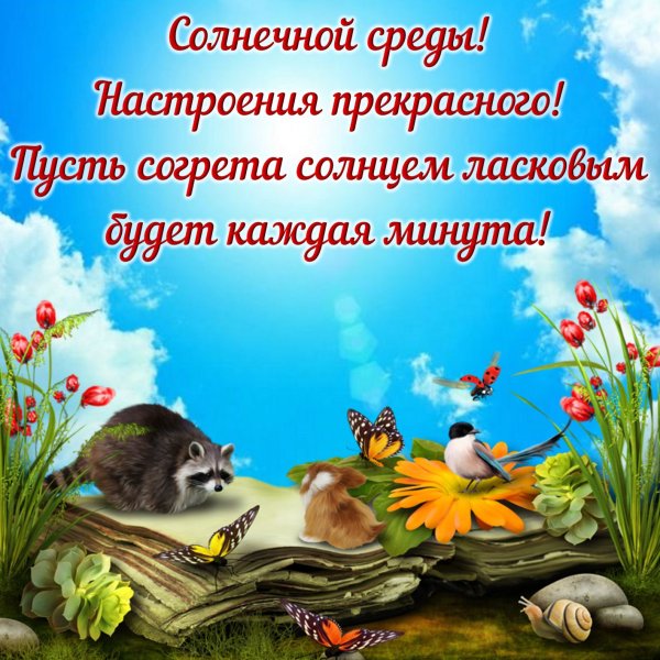 Открытки со средой