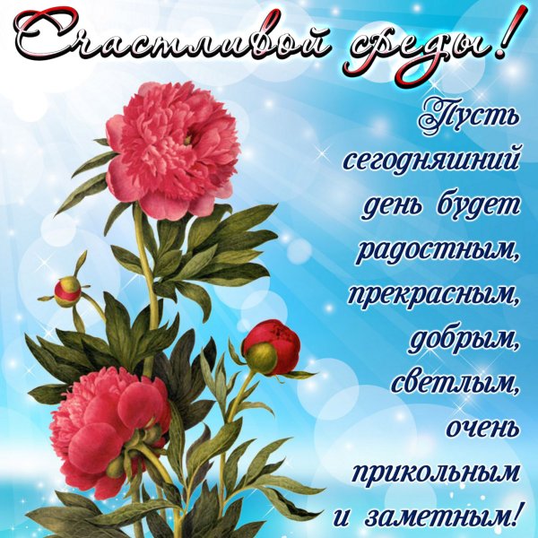 Открытки со средой