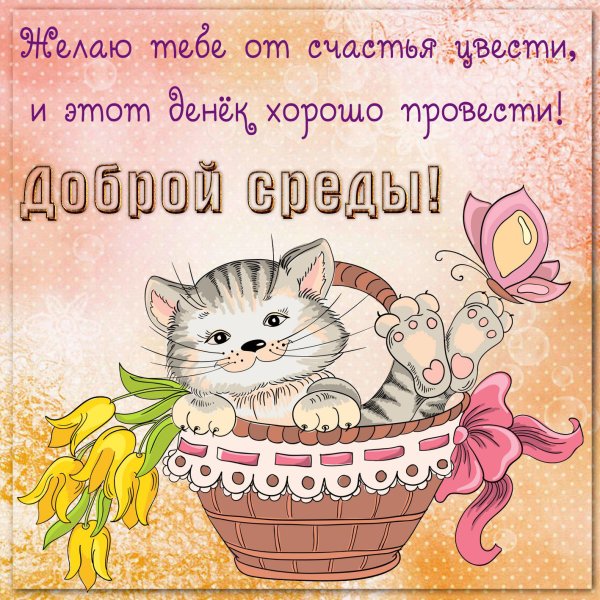 Красивые поздравления со средой