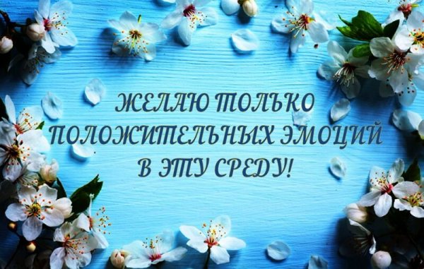 Прекрасной среды