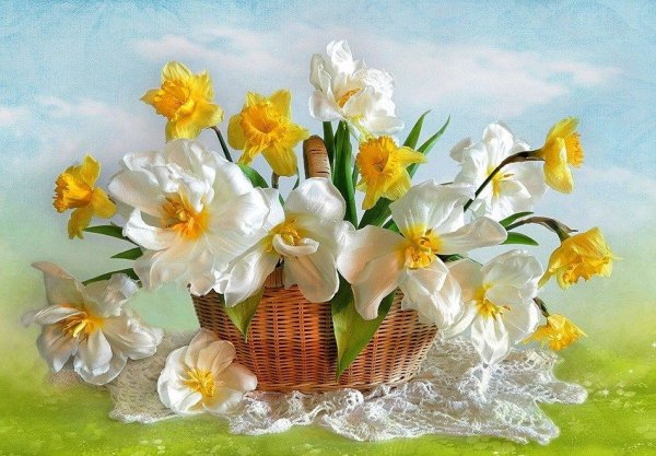 Лето животные