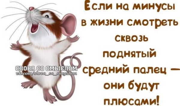 Высказывания для поднятия настроения