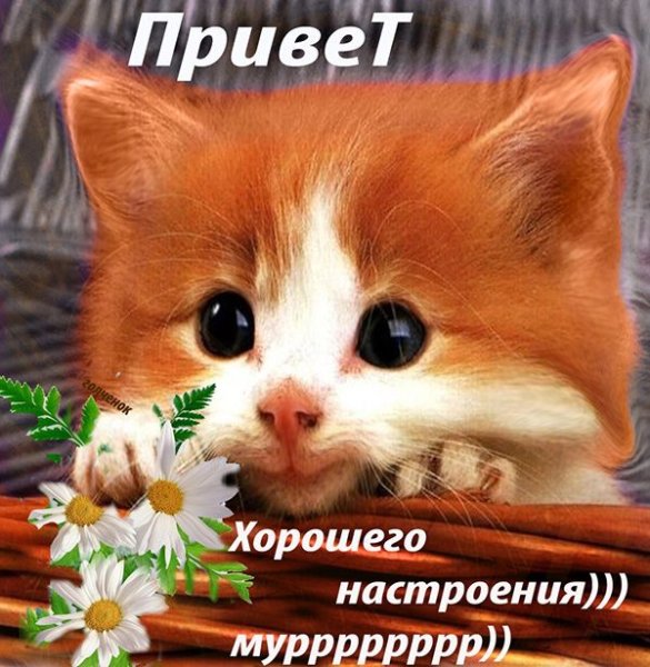Открытки для поднятия настроения