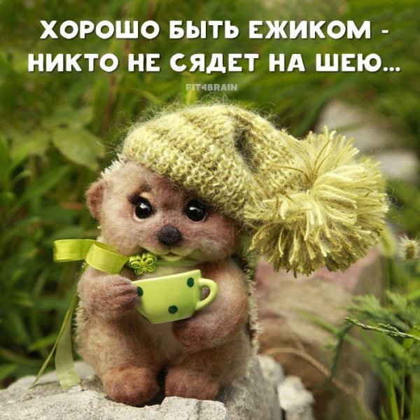 Высказывания про настроение