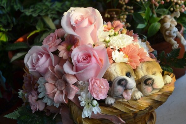 Красивые картинки букеты цветов для хорошего настроения (40 фото)