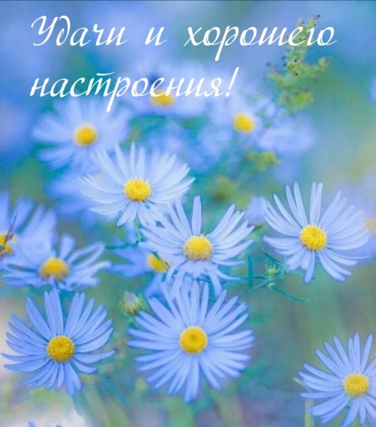 Позитивные открытки для поднятия настроения