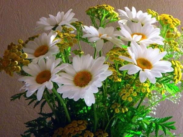 Шикарные розы для настроения