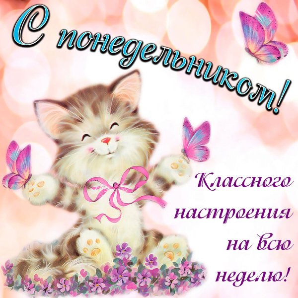 Поздравление с понедельником