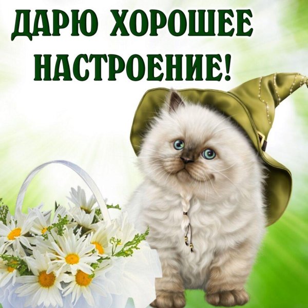 Отличного настроения