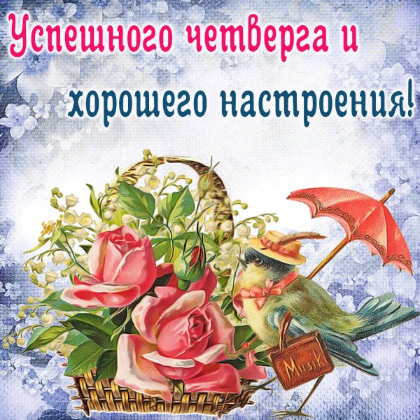 Удачного четверга и хорошего настроения