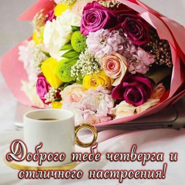 Доброе утро и отличного настроения
