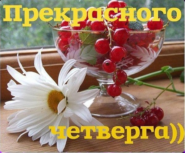 Прекрасного четверга