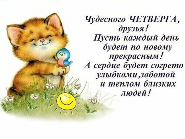 Пожелания с добрым утром четверг