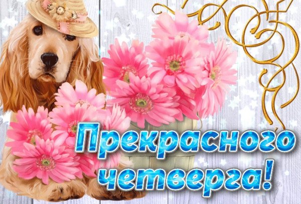 Открытки прекрасного четверга