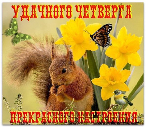 Чудесного весеннего денечка и отличного настроения