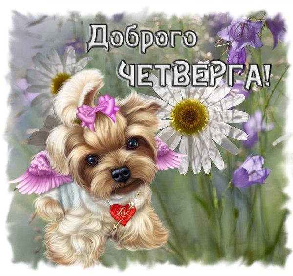 Доброе утро четверга хорошего настроения