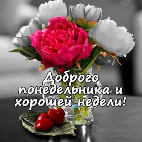 Доброго понедельника и хорошей недели
